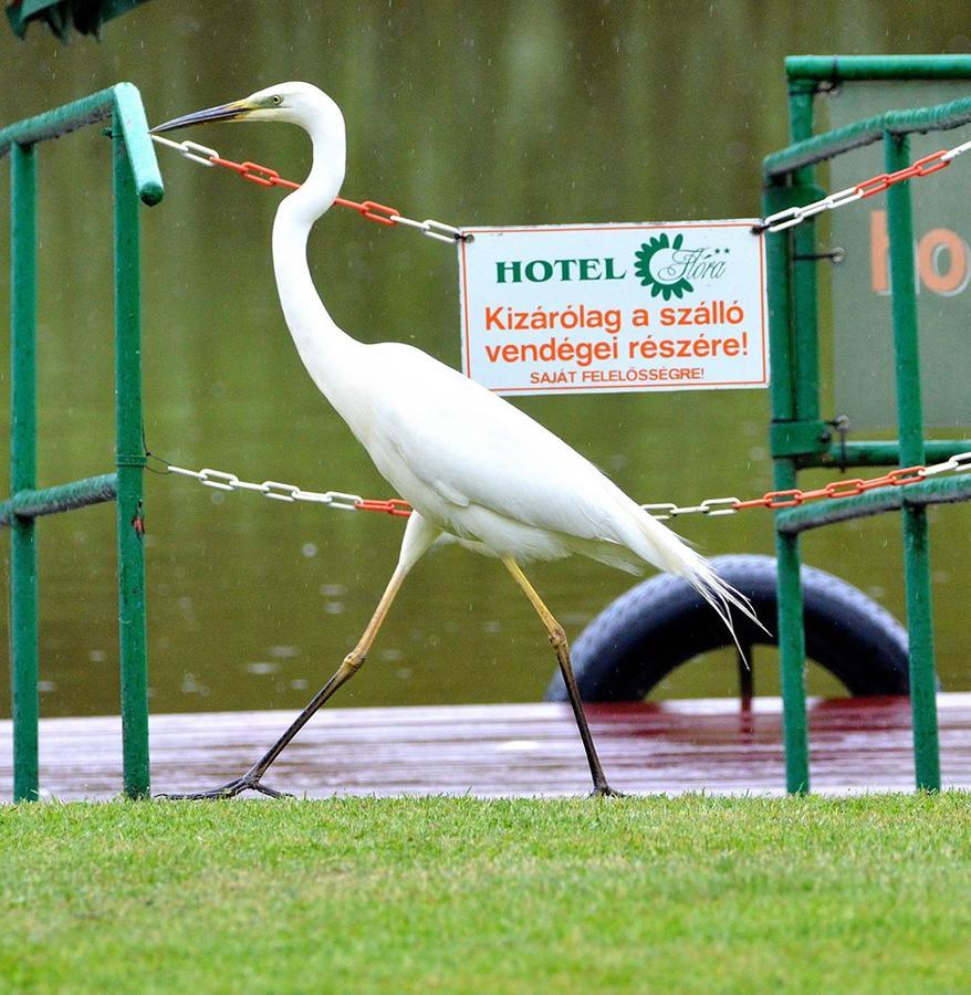 Hotel Flóra** Orosháza Kültér fotó